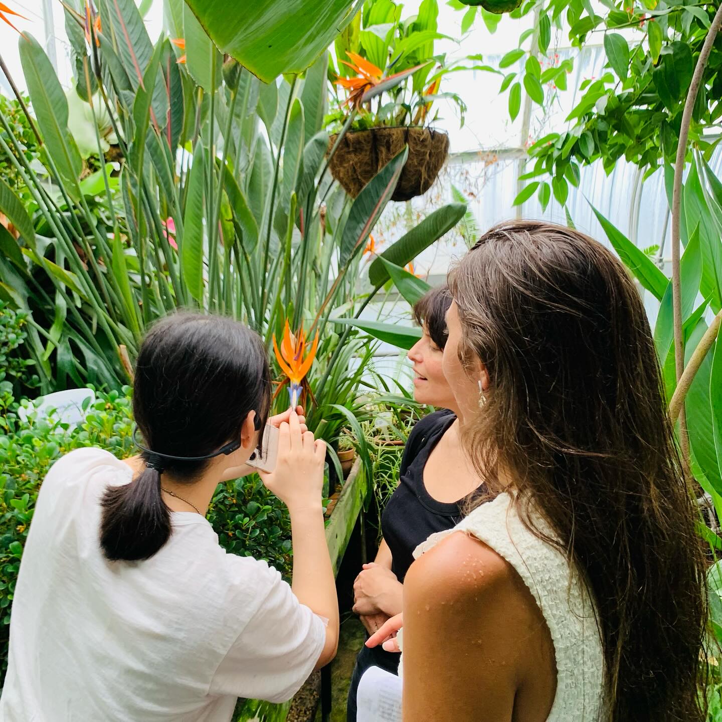 Postdocs during the Marsh Botanical Garden