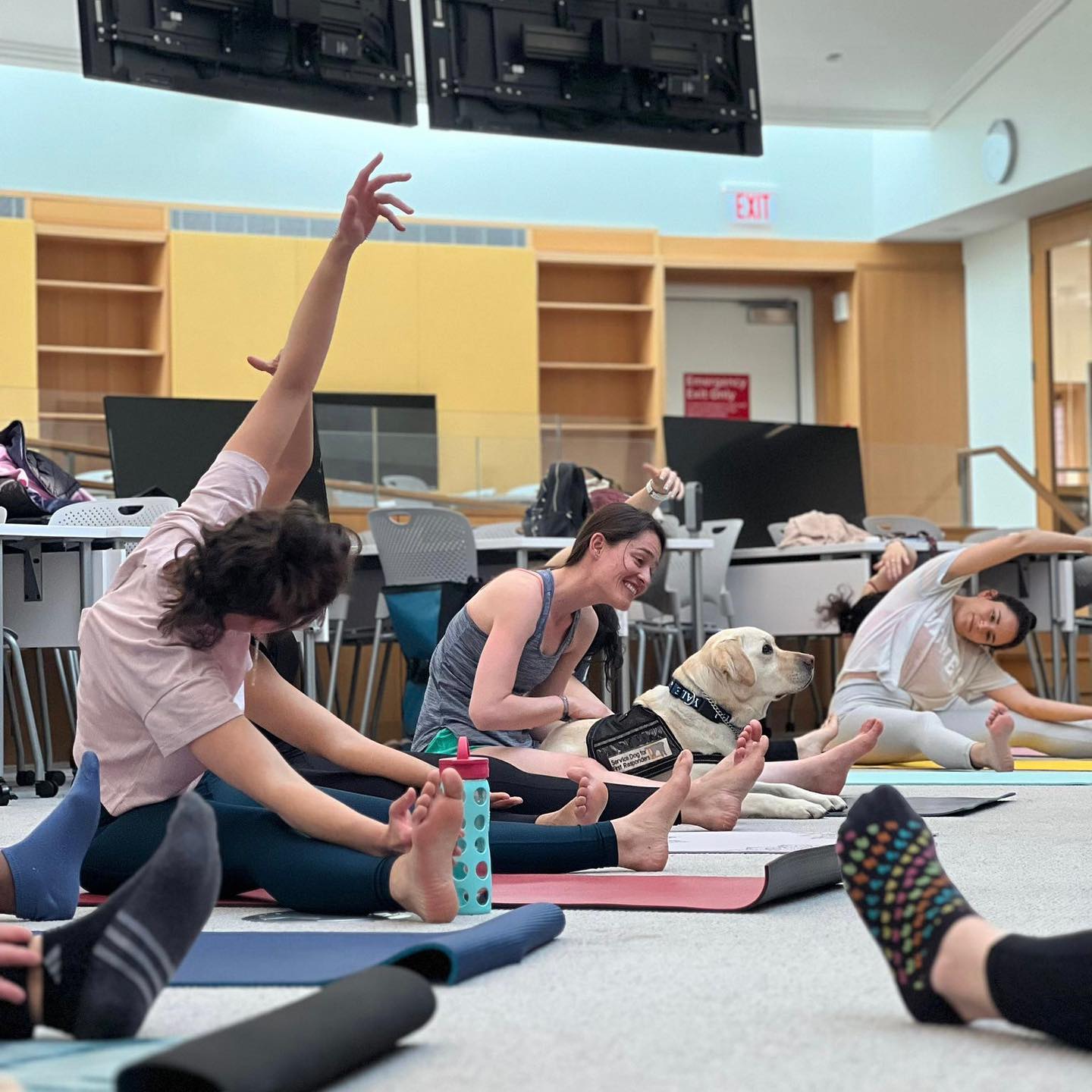 YPA members doing Yoga with a Heidi, Yale's Public Safety Dog