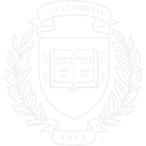 ypa logo