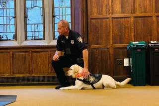 Officer with Heidi, Yale's Therapy dog