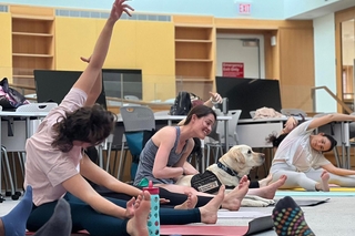 YPA members doing Yoga with a Heidi, Yale's Public Safety Dog