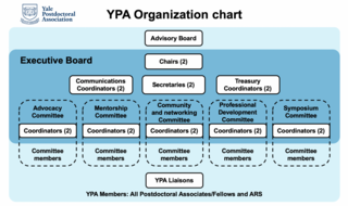 YPA organization chart