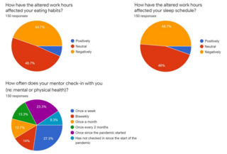 Mental Health Survey: Work Environment & Habits