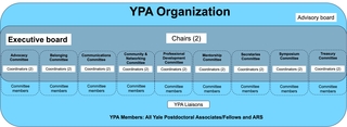 YPA Organization Chart 2024