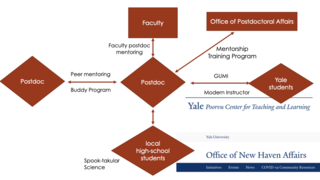 YPA Mentorship Commitee diagram