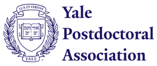 YPA horizontal blue no background png
